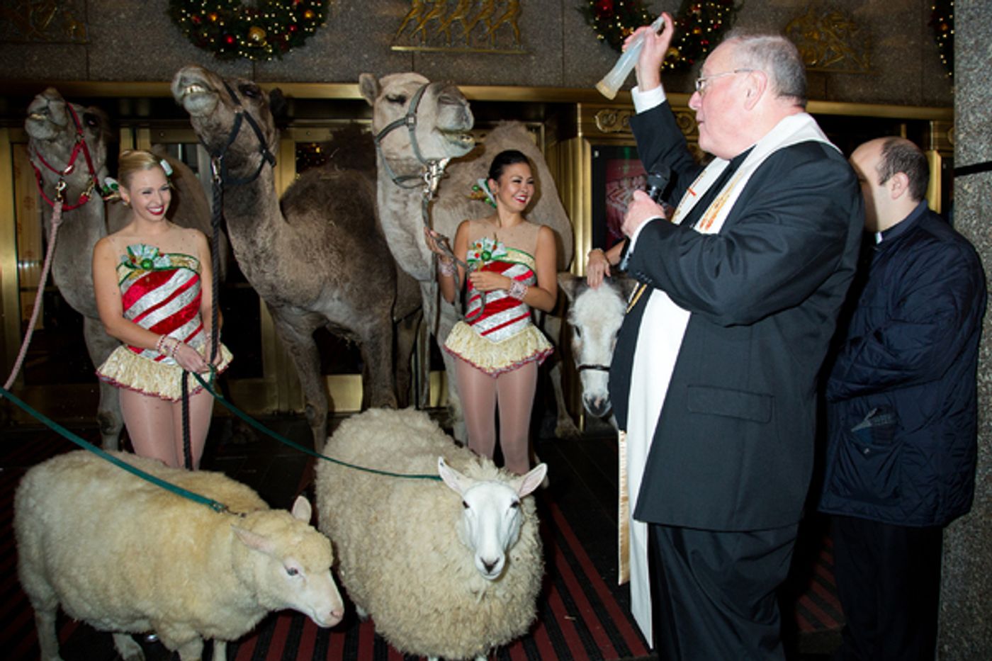 Photo Coverage: The Animals Flock to Radio City Music Hall to Take Their Places for the Living Nativity  Image