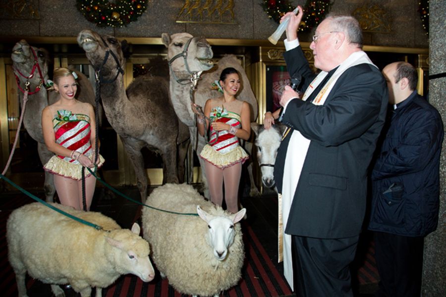 Photo Coverage: The Animals Flock to Radio City Music Hall to Take Their Places for the Living Nativity Image
