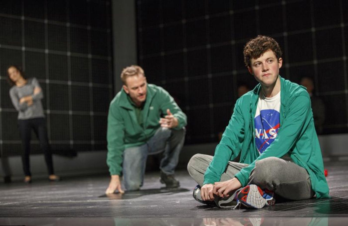 Review: CURIOUS INCIDENT is a Beautiful, but Distant Look at the Life of an Outsider  Image