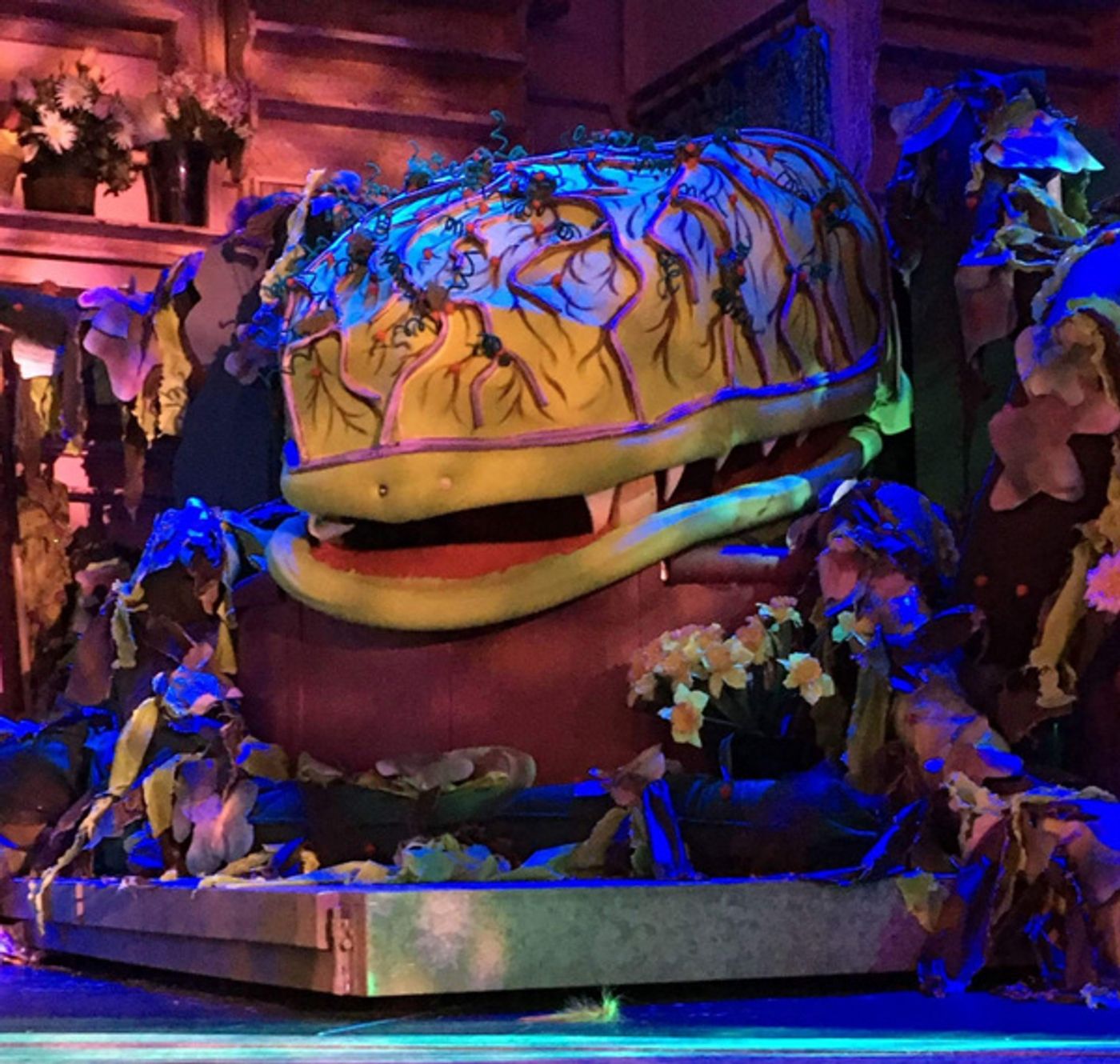 Photo Flash: Here Comes Audrey II! First Look at LITTLE SHOP OF HORRORS at Dante Hall Theater  Image