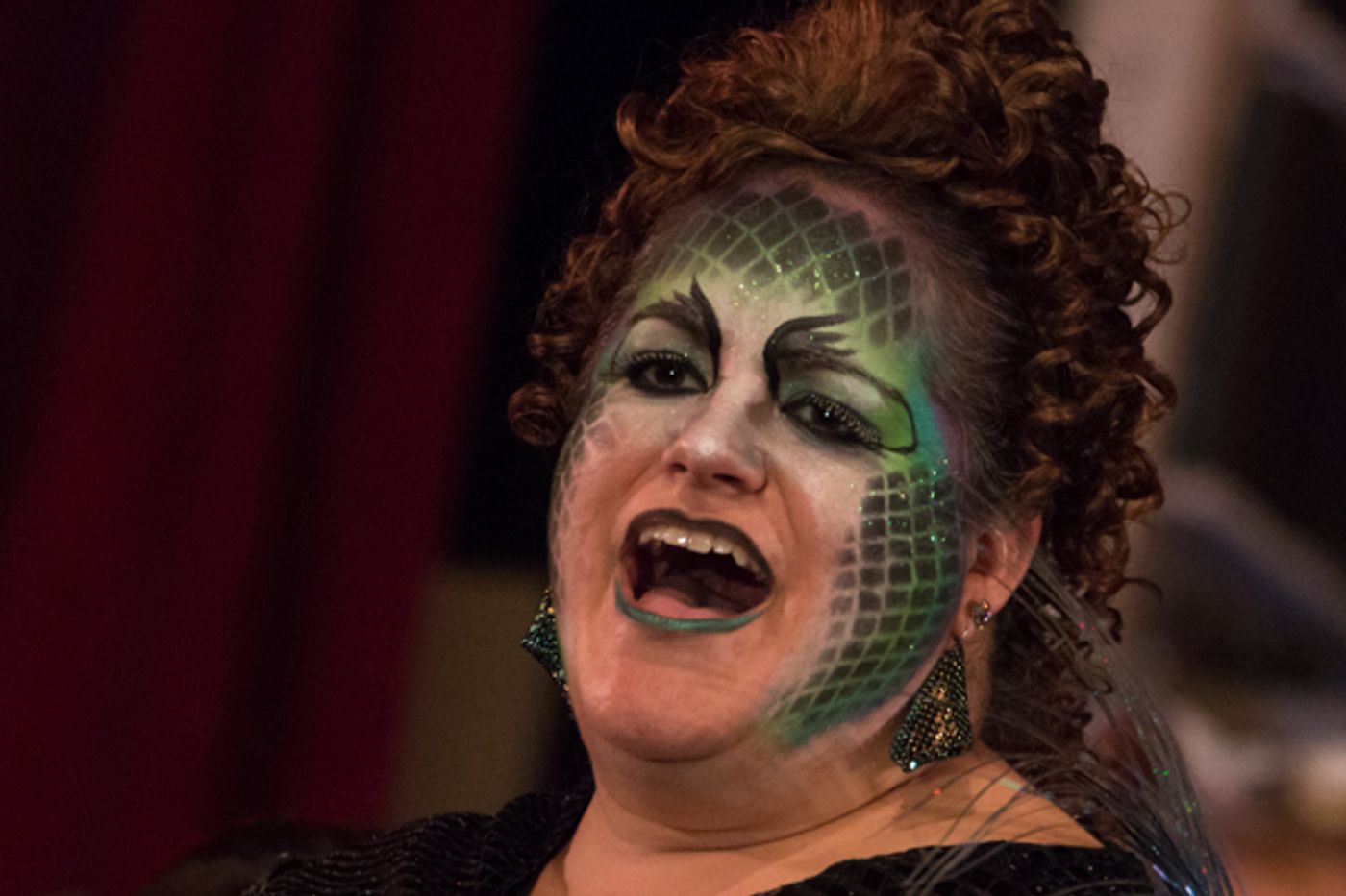 Photo Coverage: First look at Wagnalls Community Theater Presents SHREK THE MUSICAL  Image