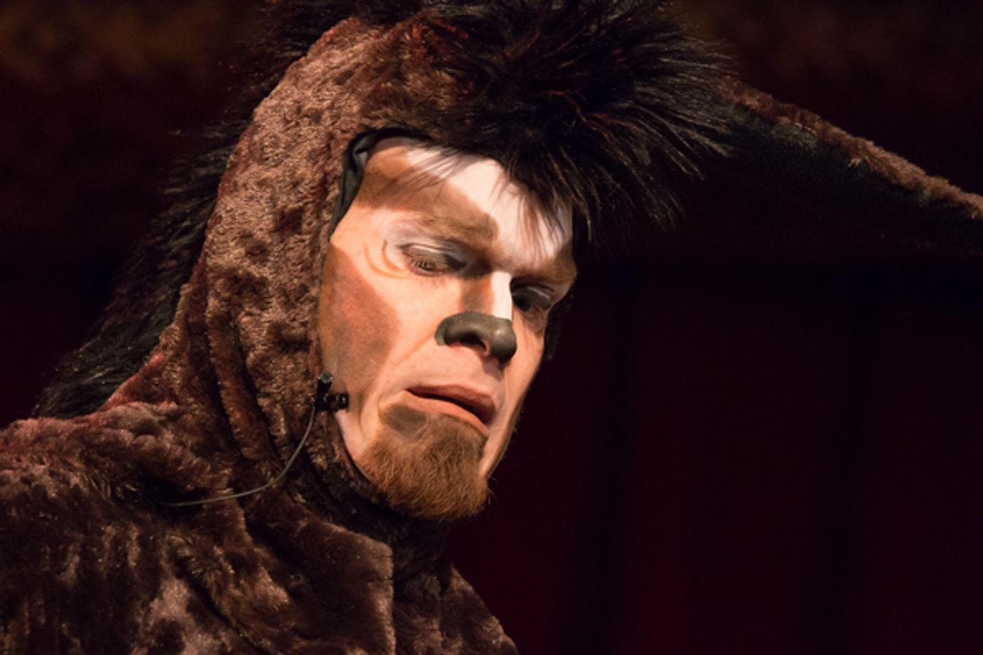 Photo Coverage: First look at Wagnalls Community Theater Presents SHREK THE MUSICAL  Image