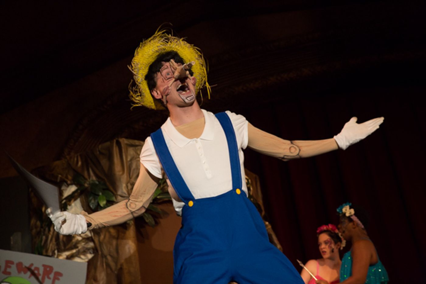 Photo Coverage: First look at Wagnalls Community Theater Presents SHREK THE MUSICAL  Image