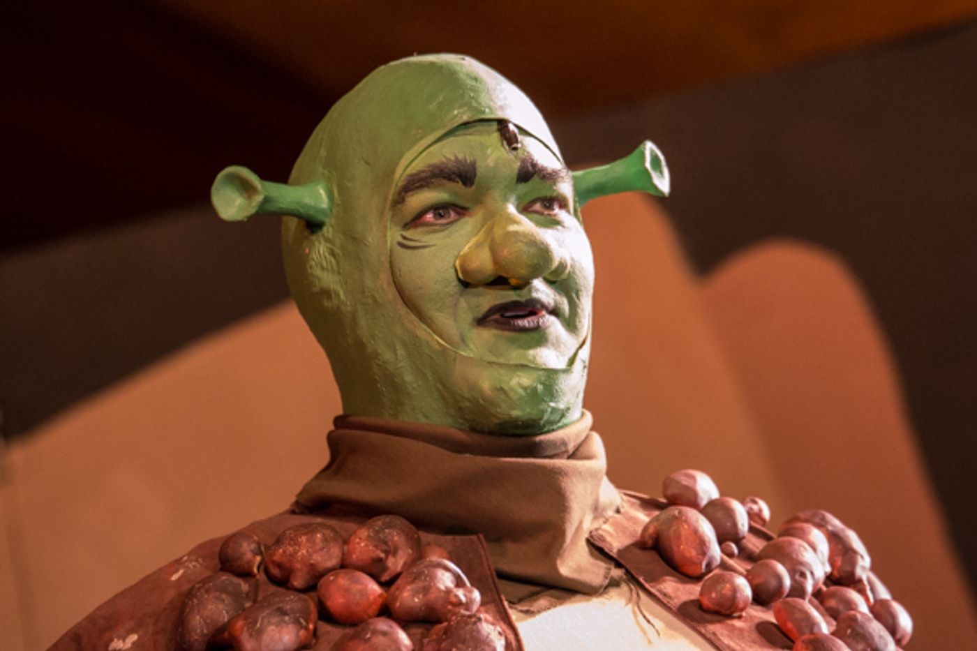 Photo Coverage: First look at Wagnalls Community Theater Presents SHREK THE MUSICAL  Image