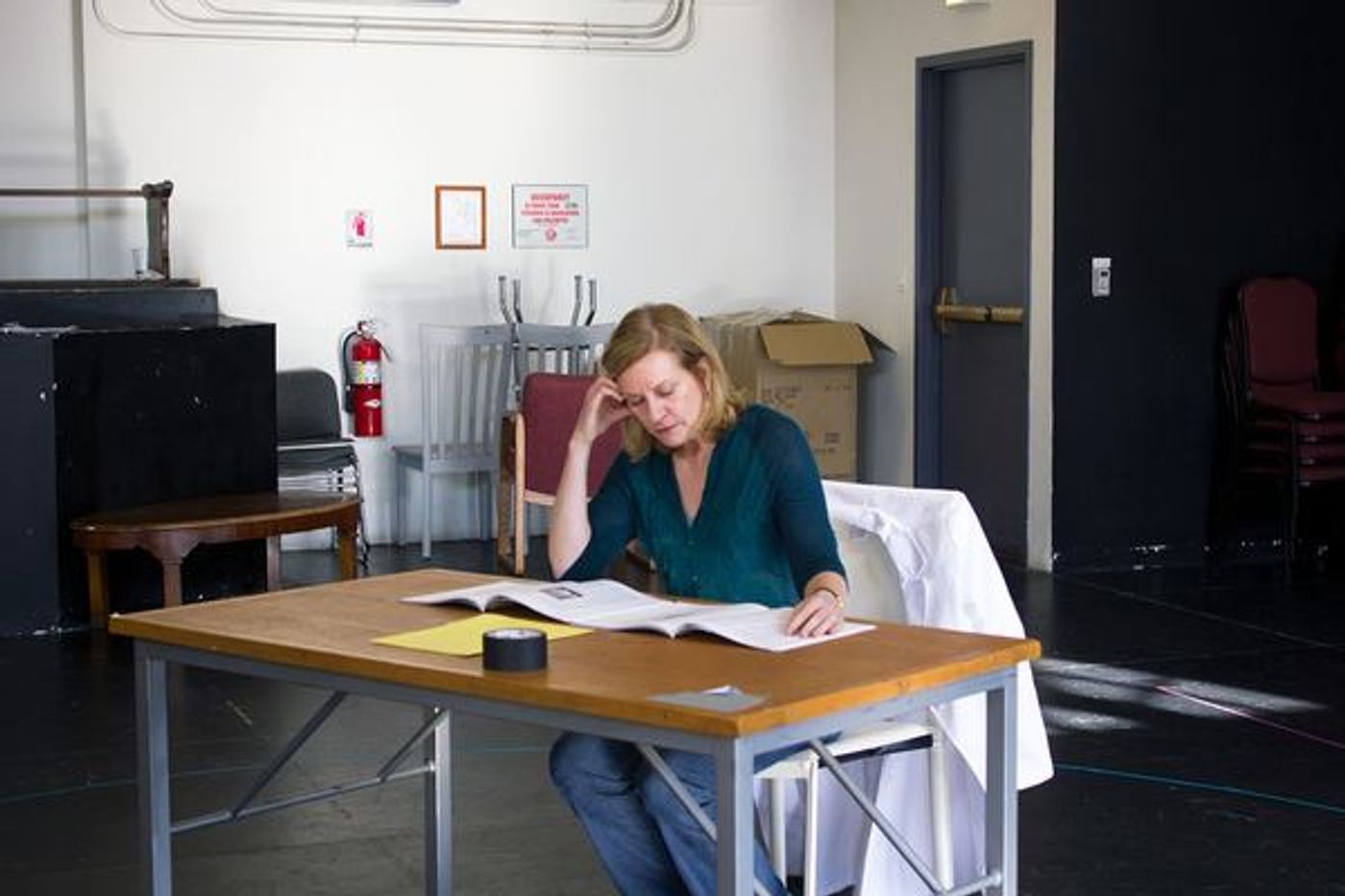 Photo Flash: In Rehearsal with Mary Beth Fisher and James Vincent Meredith for ROZ AND RAY at Victory Gardens  Image