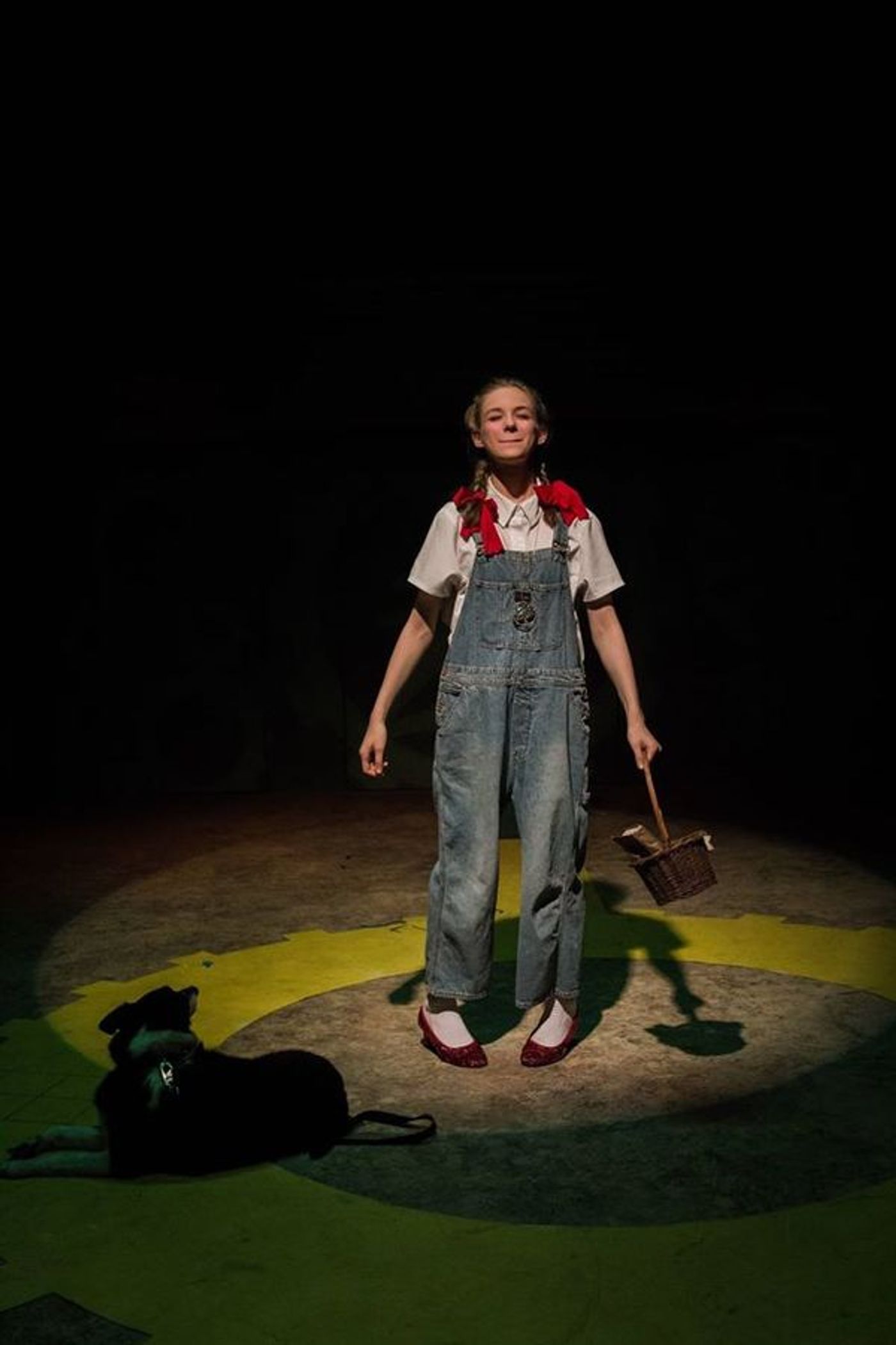 Photo Flash: THE WONDERFUL WIZARD OF OZ at Lakewood Playhouse  Image