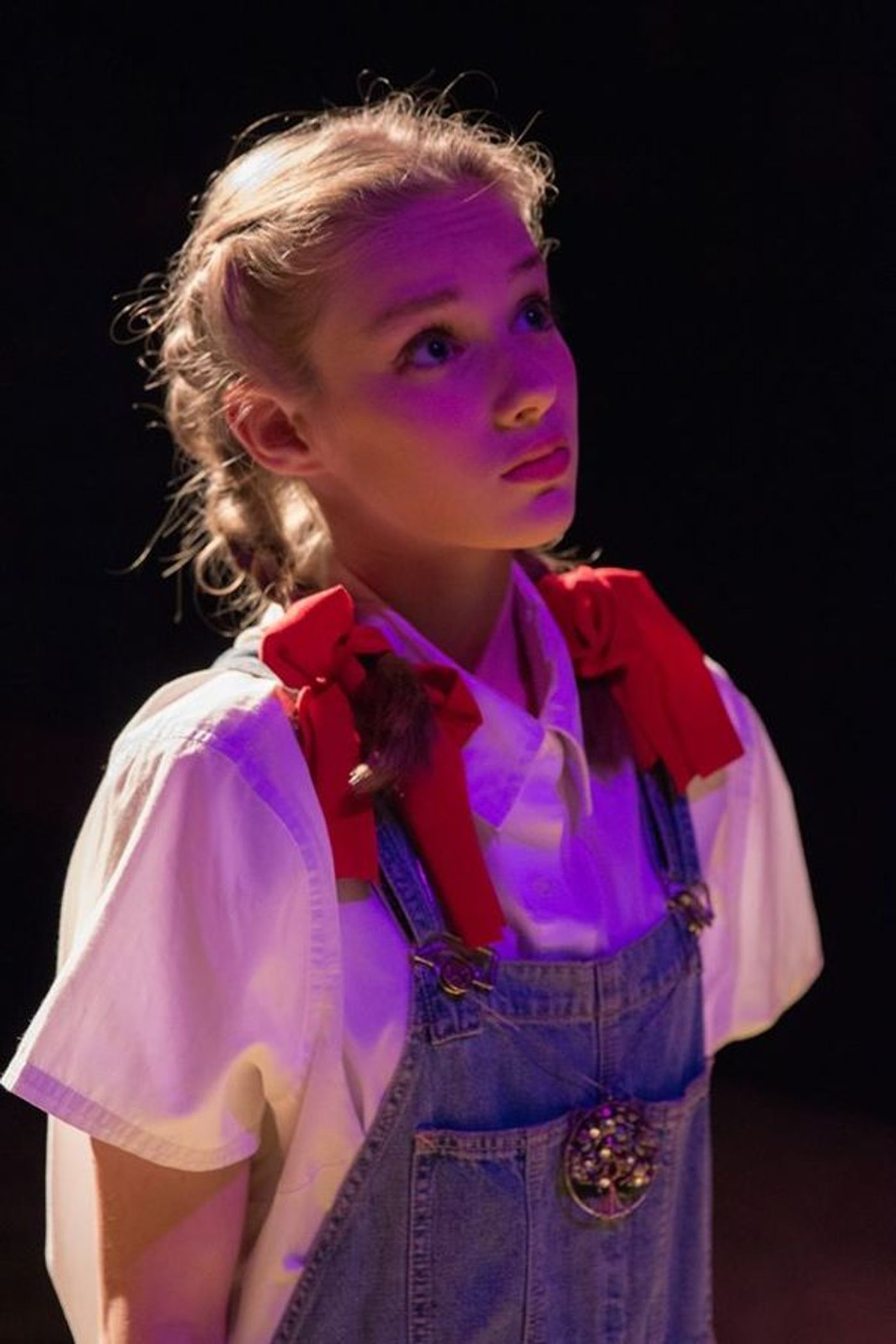 Photo Flash: THE WONDERFUL WIZARD OF OZ at Lakewood Playhouse  Image