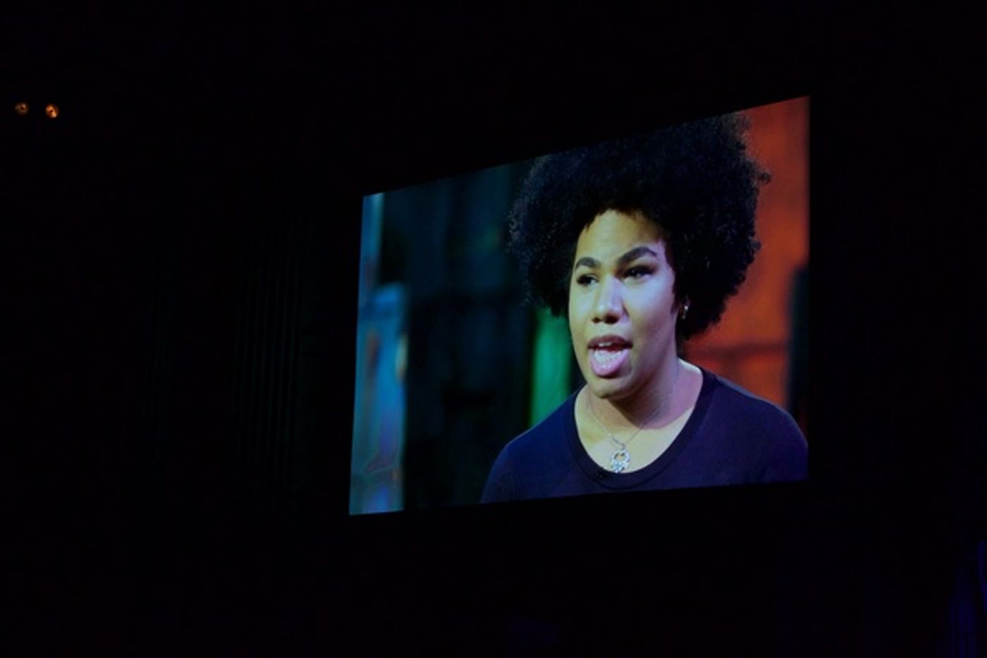 Photo Flash: Michael Feinstein Honored at Harlem School of the Arts' 2016 Masquerade Gala  Image