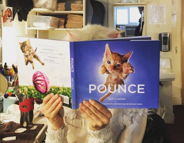 Cats (Broadway): @georgina_pazcoguin Catching up on some kitty reading! @officialbroa Photo