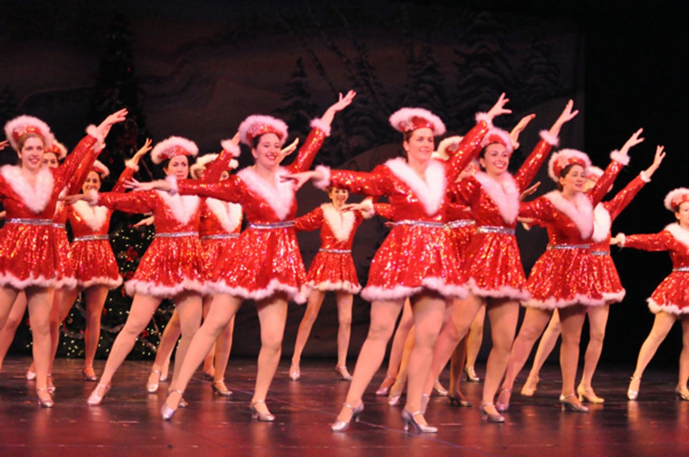 Photo Flash: Sneak Peek at Reagle Music Theatre's CHRISTMASTIME  Image