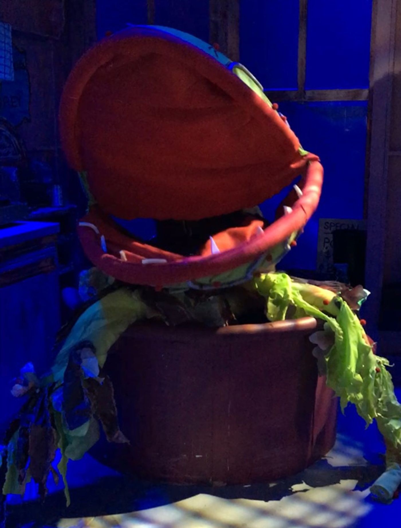 Photo Flash: First Look at LITTLE SHOP OF HORRORS at Dante Hall Photo Flash: First Look at LITTLE SHOP OF HORRORS at Dante Hall Image