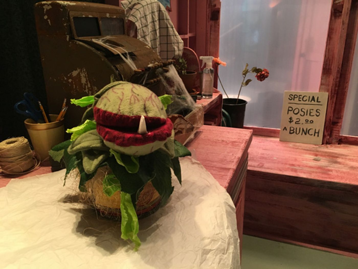 Photo Flash: First Look at LITTLE SHOP OF HORRORS at Dante Hall Photo Flash: First Look at LITTLE SHOP OF HORRORS at Dante Hall Image