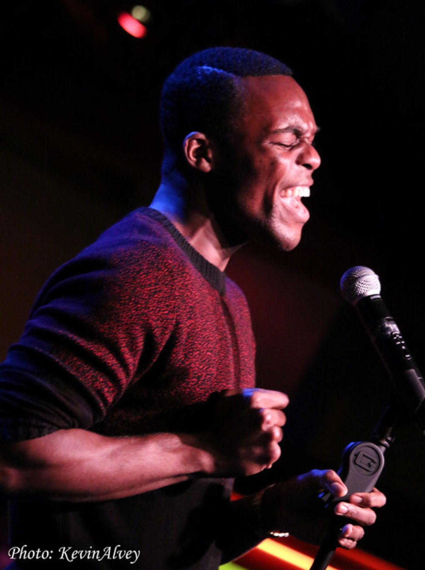 Photo Flash: Randy Rainbow Welcomes Slew of Stars for Election Eve Party at Birdland  Image