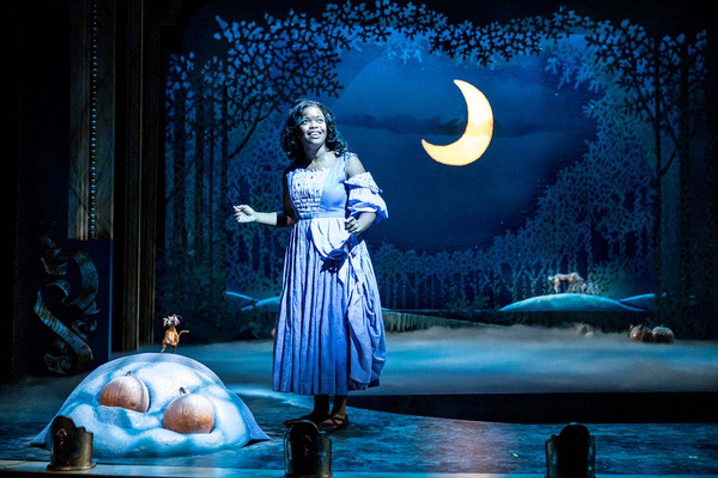 Photo Flash: An Outrageous Holiday Favorite Returns with Children's Theatre Company's CINDERELLA  Image