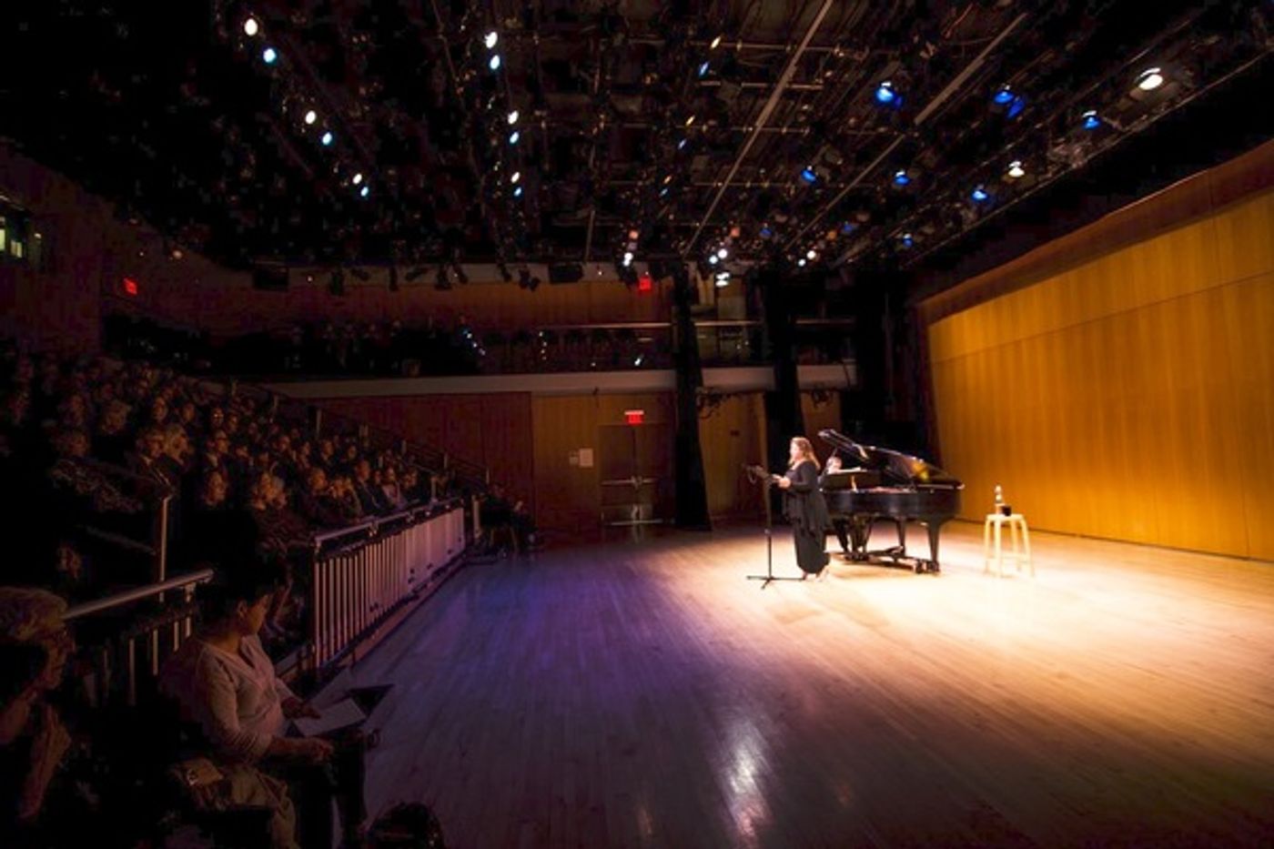 Photo Flash: Goldberg, Kim & William-Olsson Take Part in PREformances with Allison Charney  Image