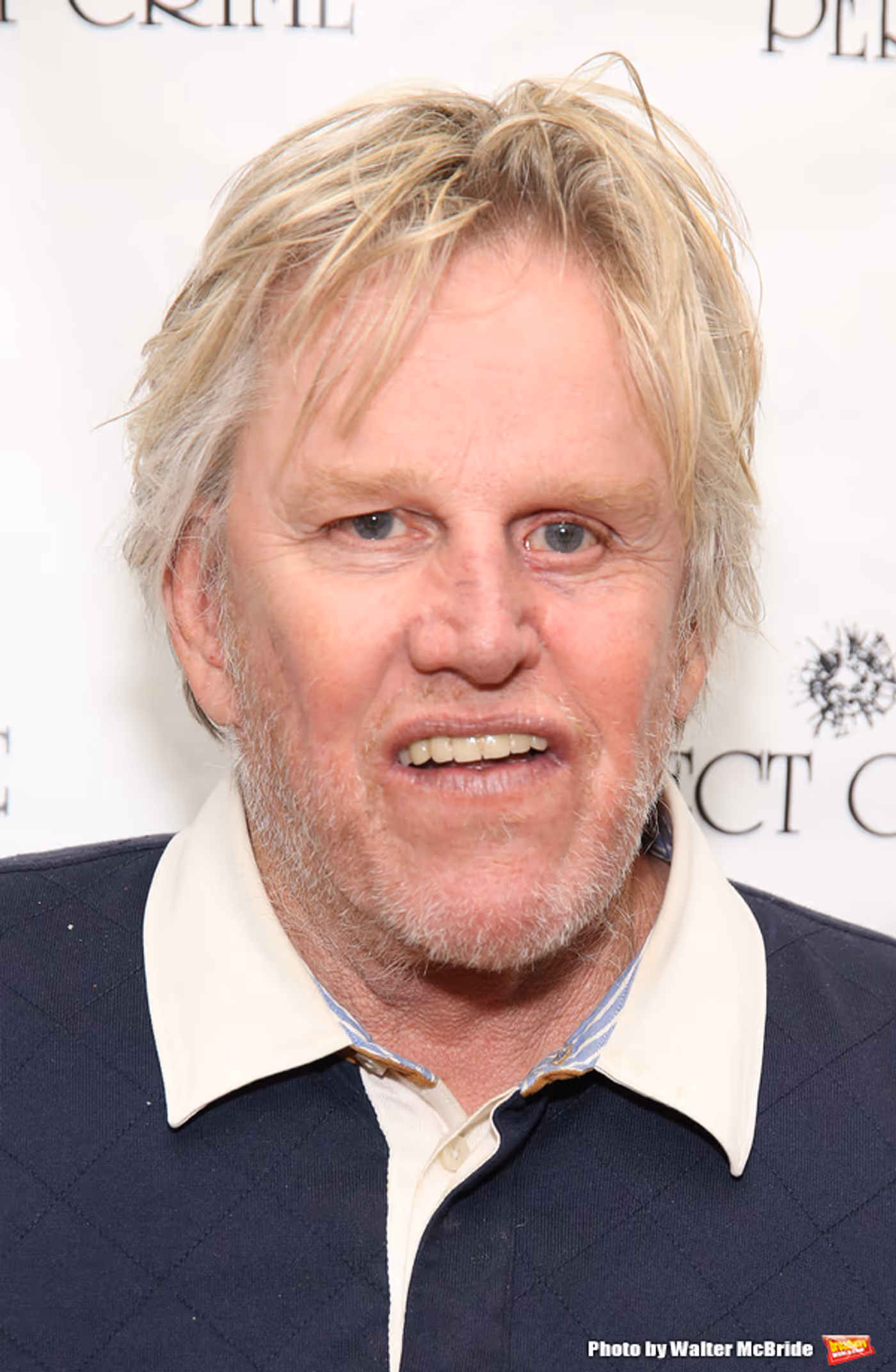 FREEZE FRAME: Gary Busey Meets the Press for PERFECT CRIME  Image