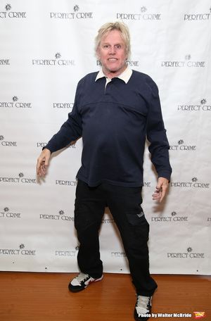 Gary Busey  Photo