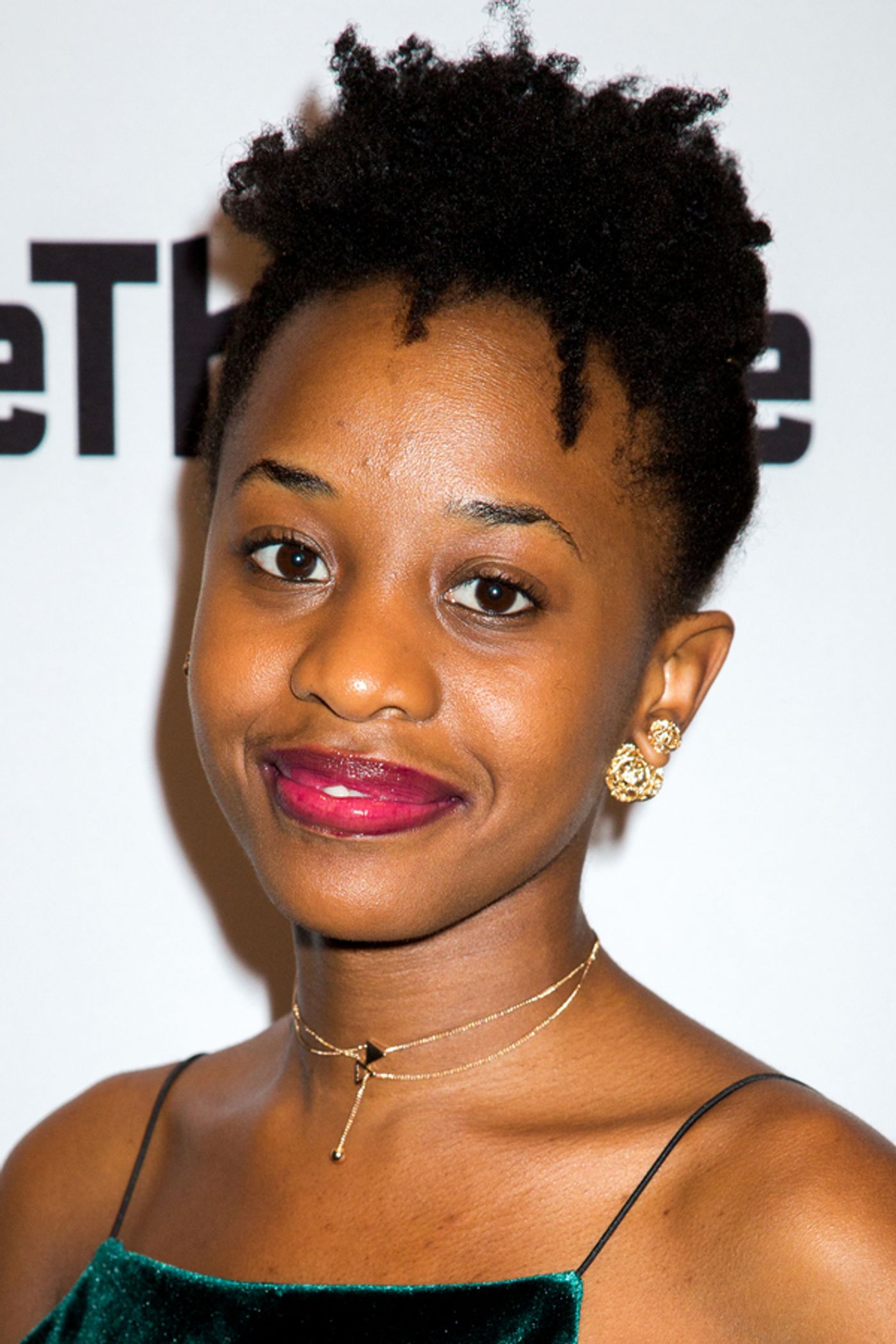 Photo Coverage: Signature Theatre Celebrates Opening Night of THE DEATH OF THE LAST BLACK MAN IN THE WHOLE ENTIRE WORLD  Image