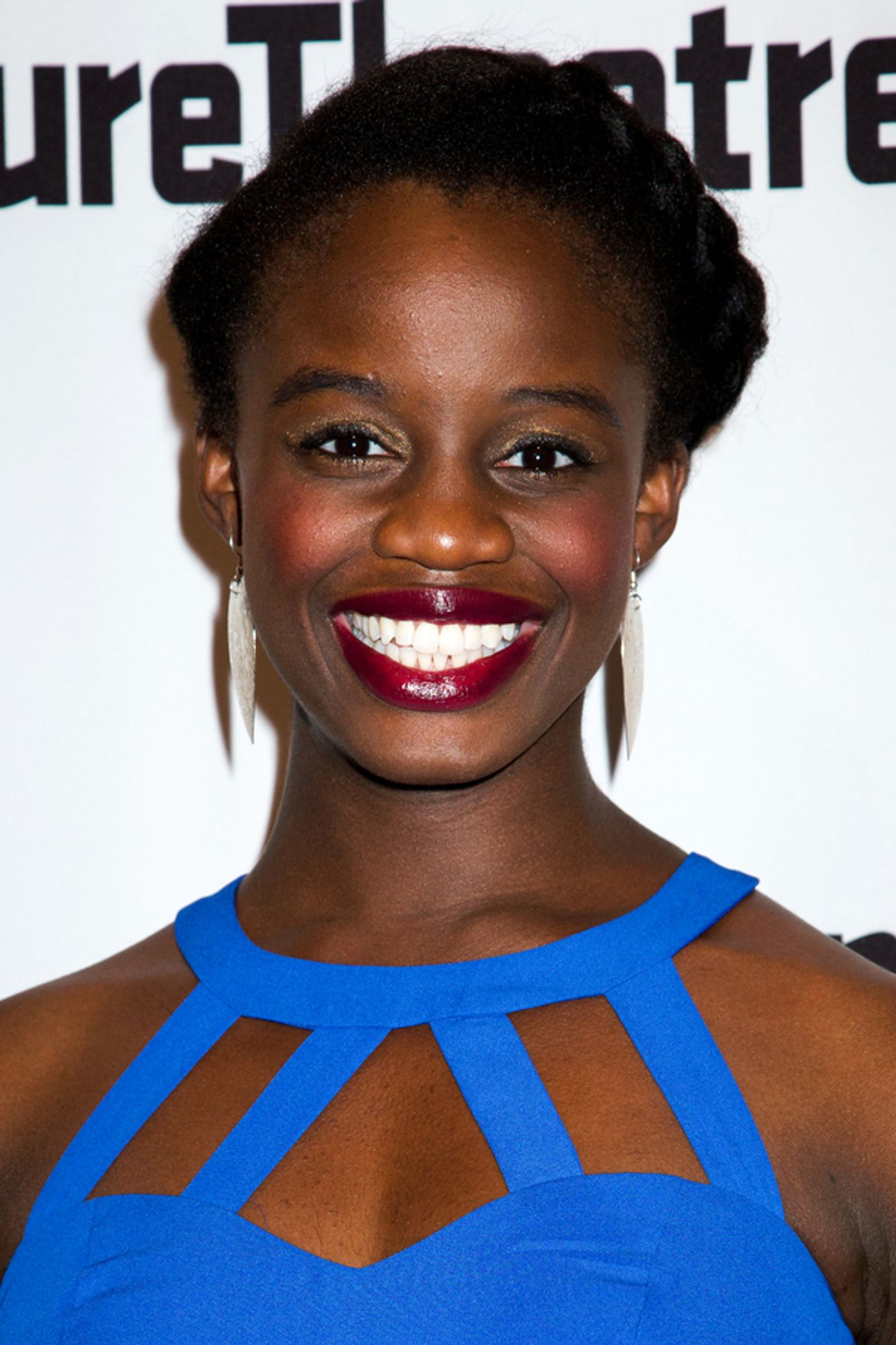 Photo Coverage: Signature Theatre Celebrates Opening Night of THE DEATH OF THE LAST BLACK MAN IN THE WHOLE ENTIRE WORLD  Image