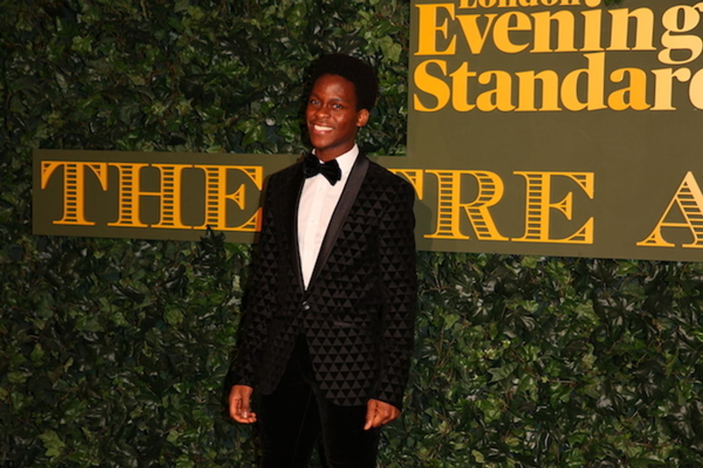 Photo Flash: Patrick Stewart, Sheridan Smith & More at the Evening Standard Awards  Image