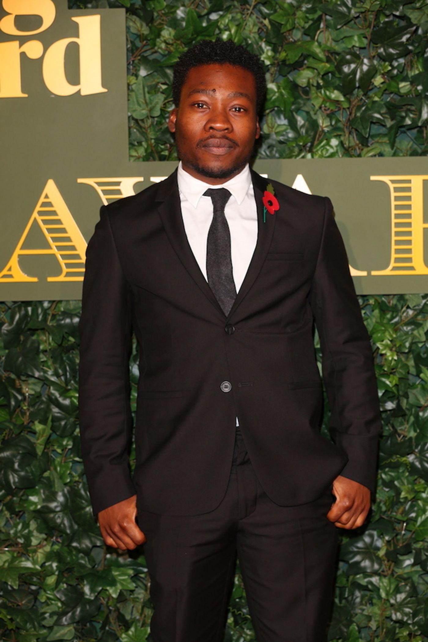 Photo Flash: Patrick Stewart, Sheridan Smith & More at the Evening Standard Awards  Image