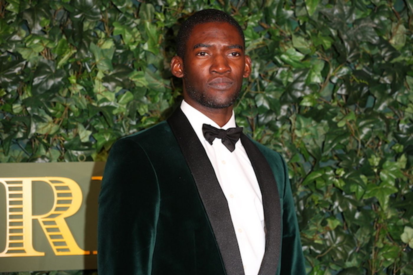 Photo Flash: Patrick Stewart, Sheridan Smith & More at the Evening Standard Awards  Image