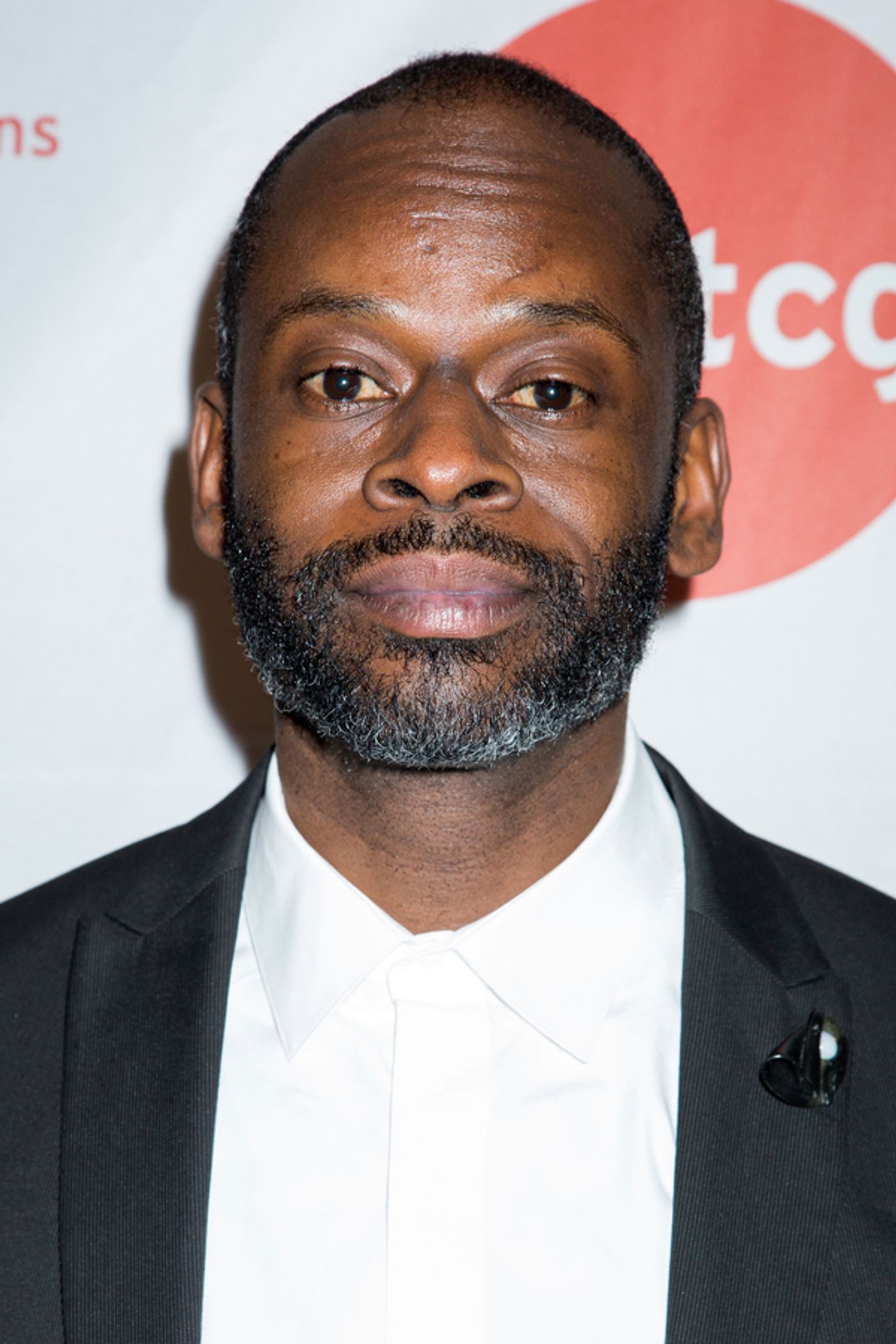 Photo Coverage: On the Red Carpet for Theatre Communications Group's 2016 Gala  Image