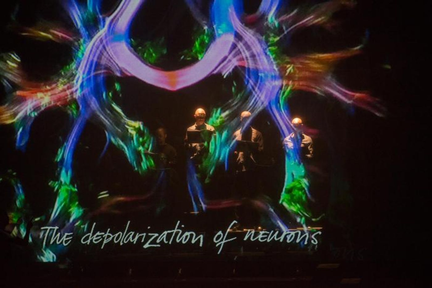 One Night Only for MADNESS: SONGS OF HOPE AND DESPAIR at The Baxter Theatre  Image