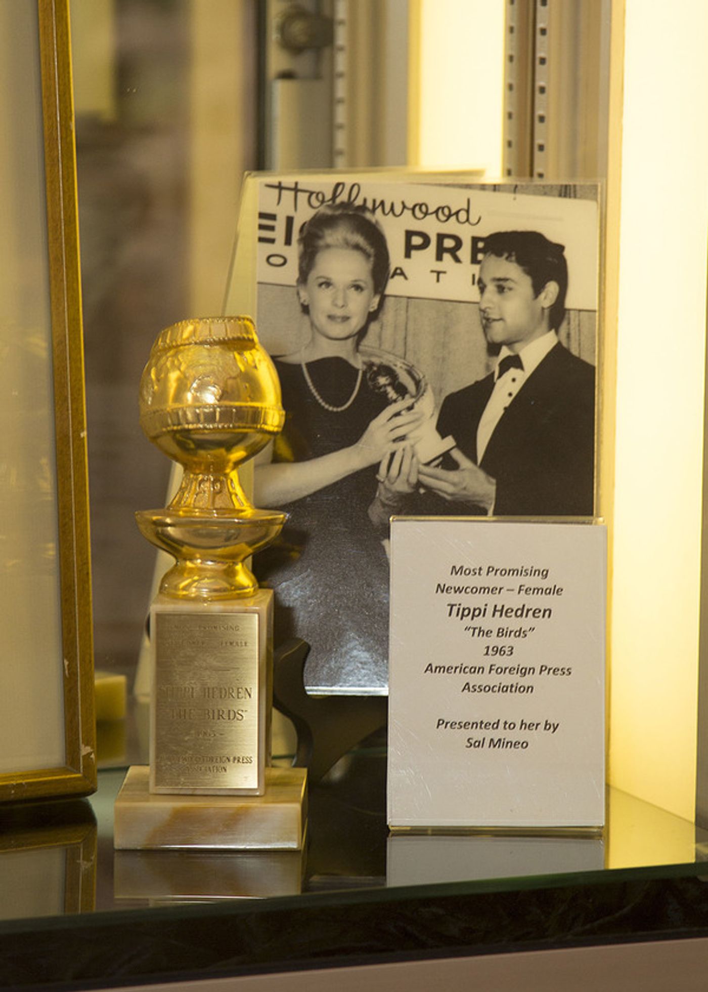 Photo Flash: Tippi Hedren and More Appear at Star Studded Book Launch for TIPPI  Image