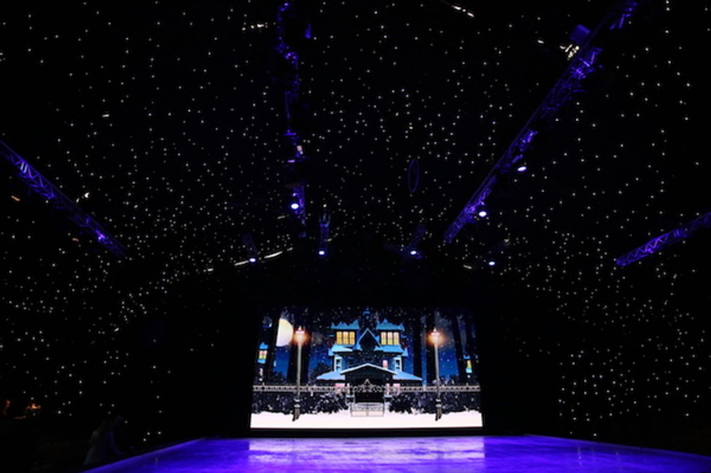 Photo Flash: First Look at Imperial Ice Stars' THE NUTCRACKER ON ICE  Image