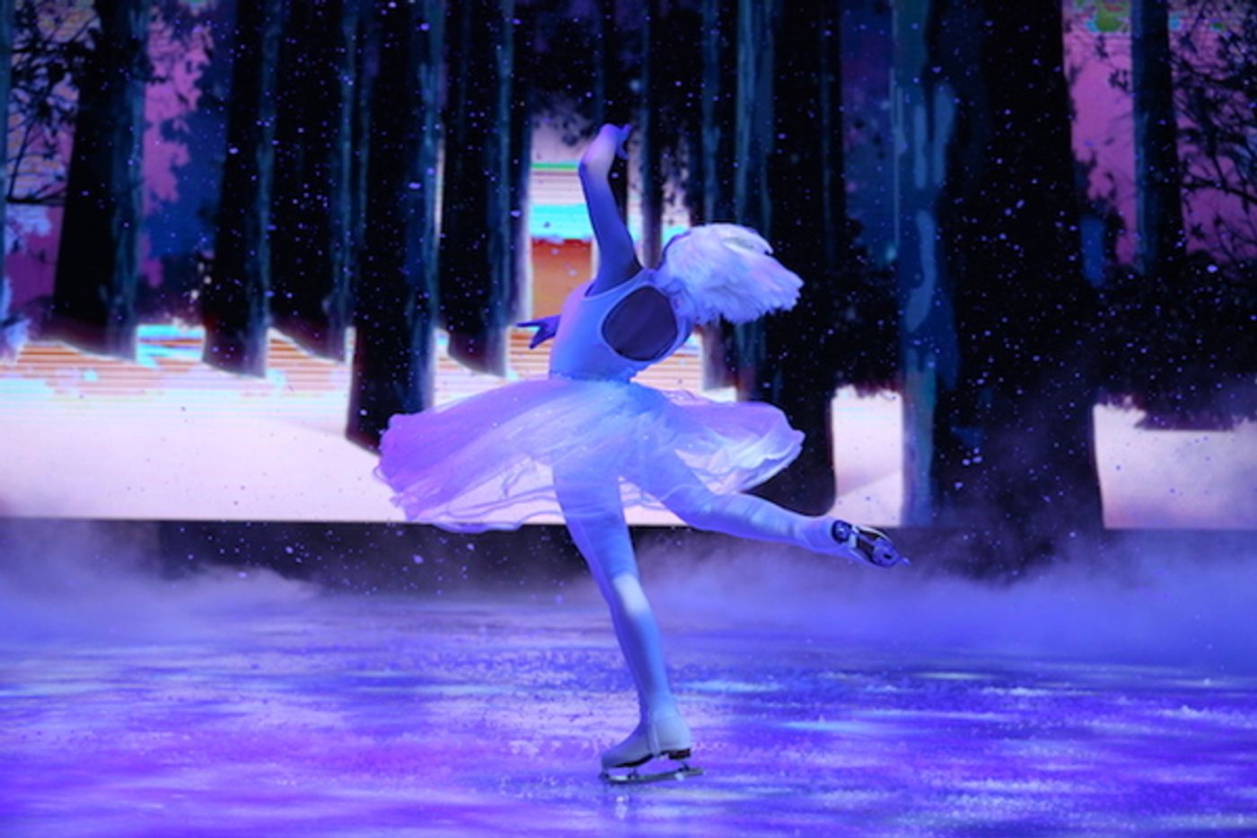 Photo Flash: First Look at Imperial Ice Stars' THE NUTCRACKER ON ICE  Image
