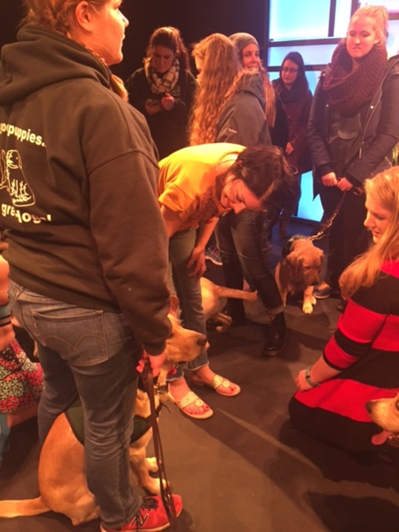 Photo Flash: Rutgers University Seeing Eye Puppy Training Club Visits A DOG STORY Off-Broadway  Image