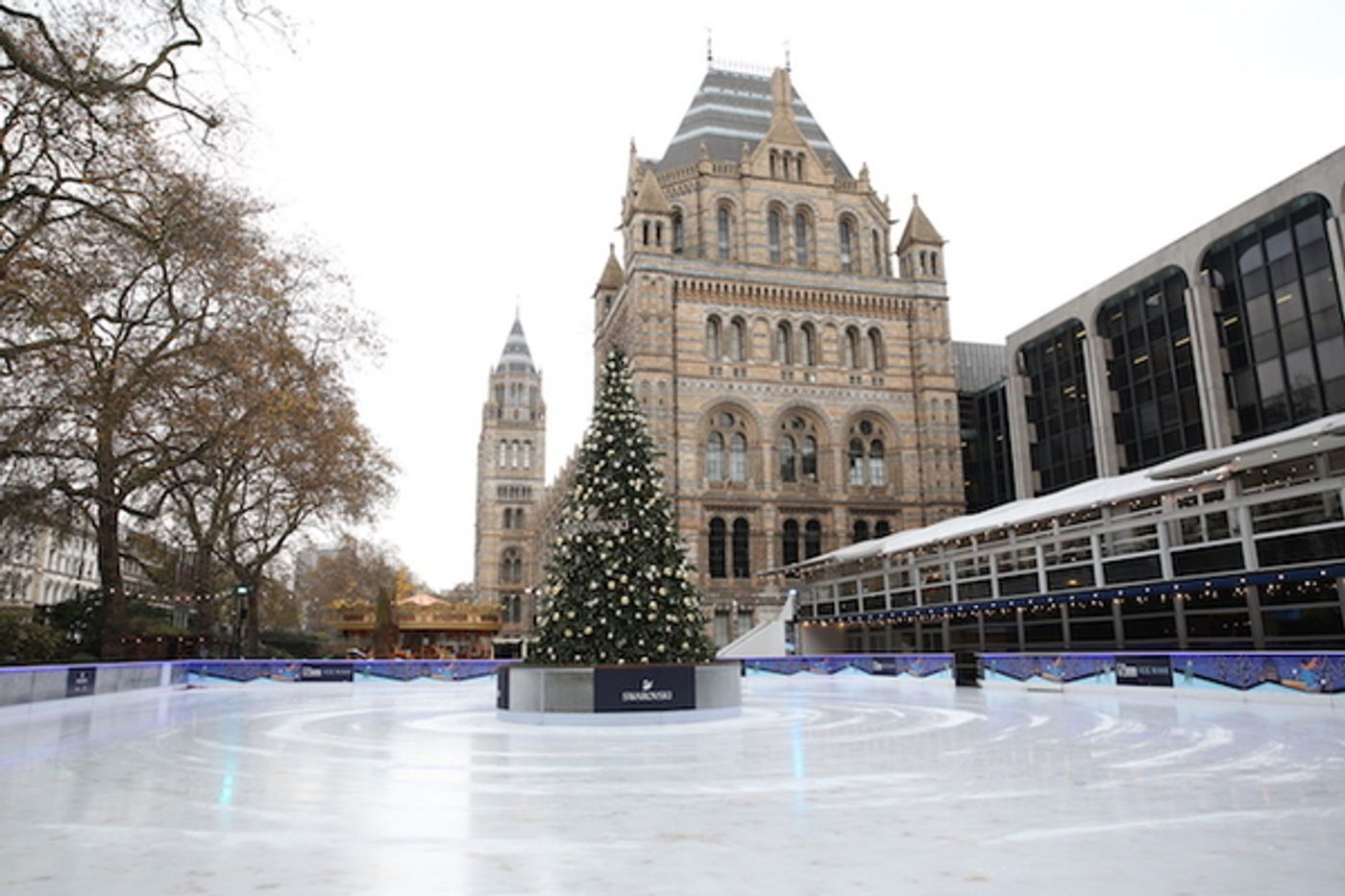 Photo Flash: MR POPPER'S PENGUINS Launch at Natural History Museum  Image