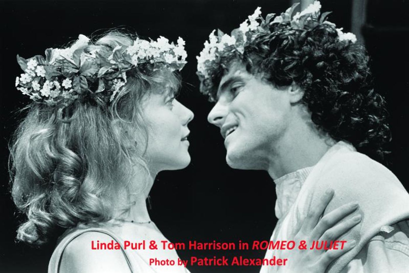 Interview: Skylight's Gary Grossman Asserting His Passion Creating Safe Harbors For Nurturing New Talents  Image