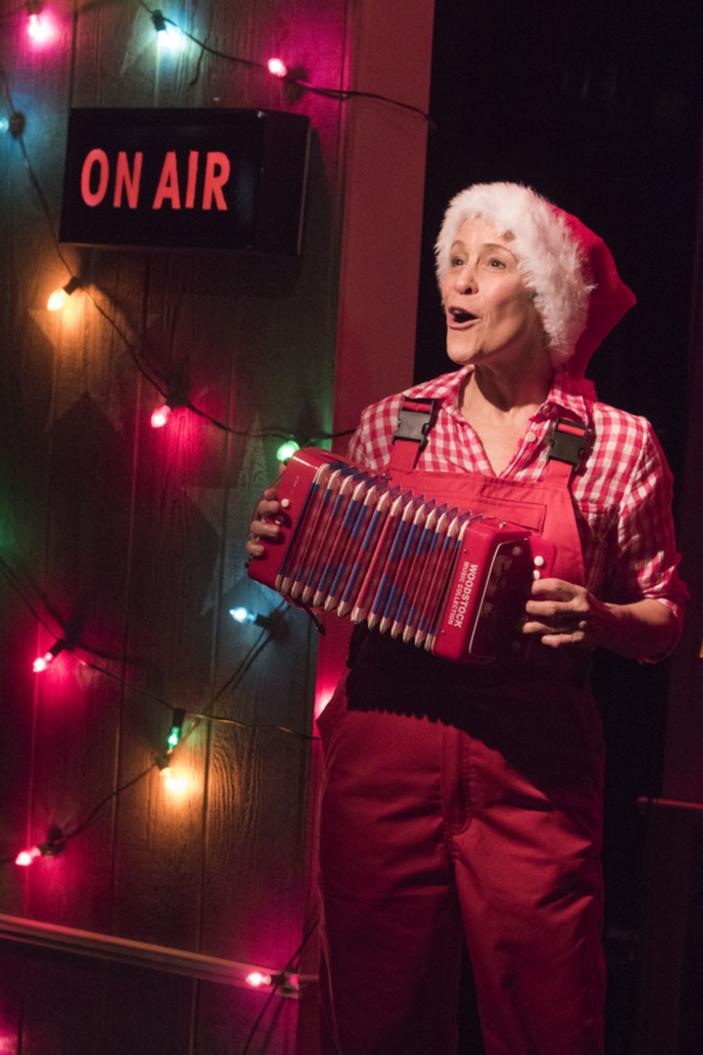 Photo Flash: SILVER BELLES at Signature Theatre  Image