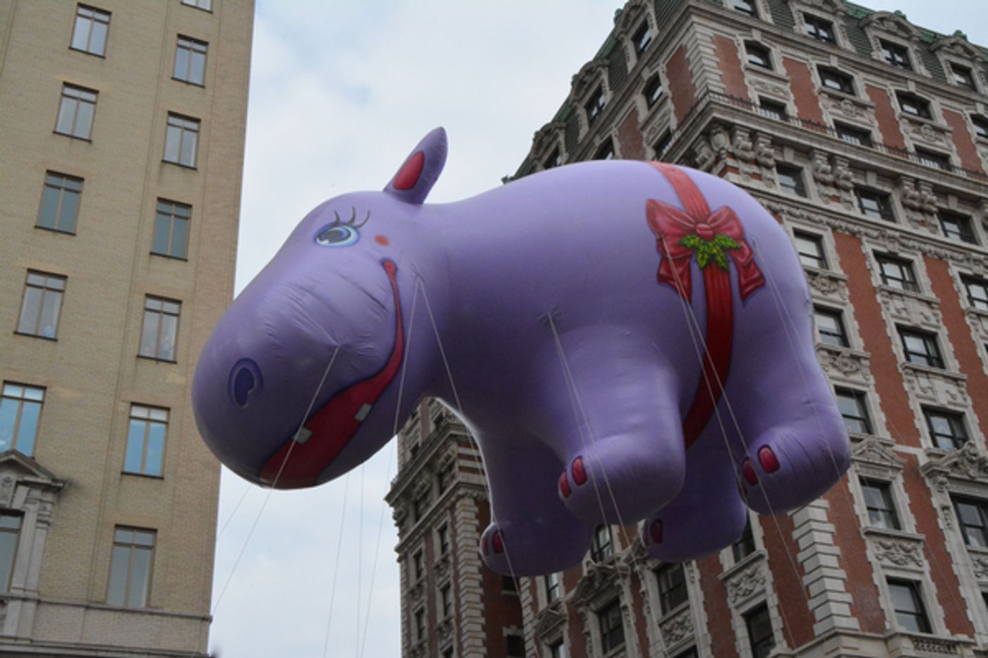 Photo Coverage: Macy's 90th Thanksgiving Day Parade Marches Through NYC!  Image