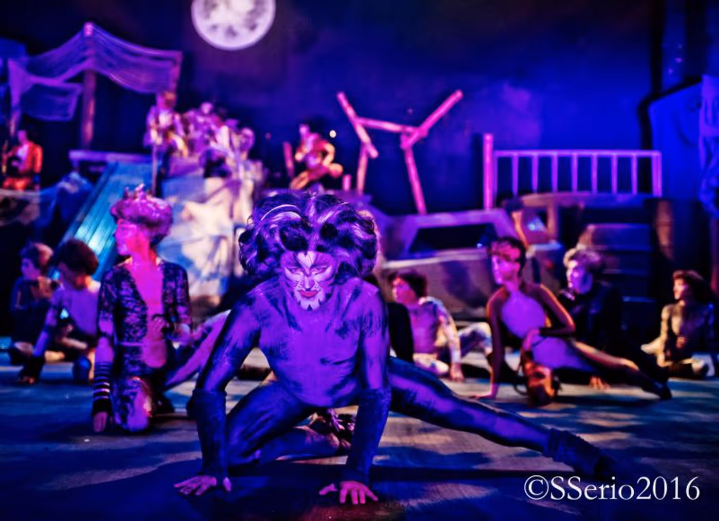 BWW Preview: CATS THE MUSICAL at Milburn Stone Theatre  Image