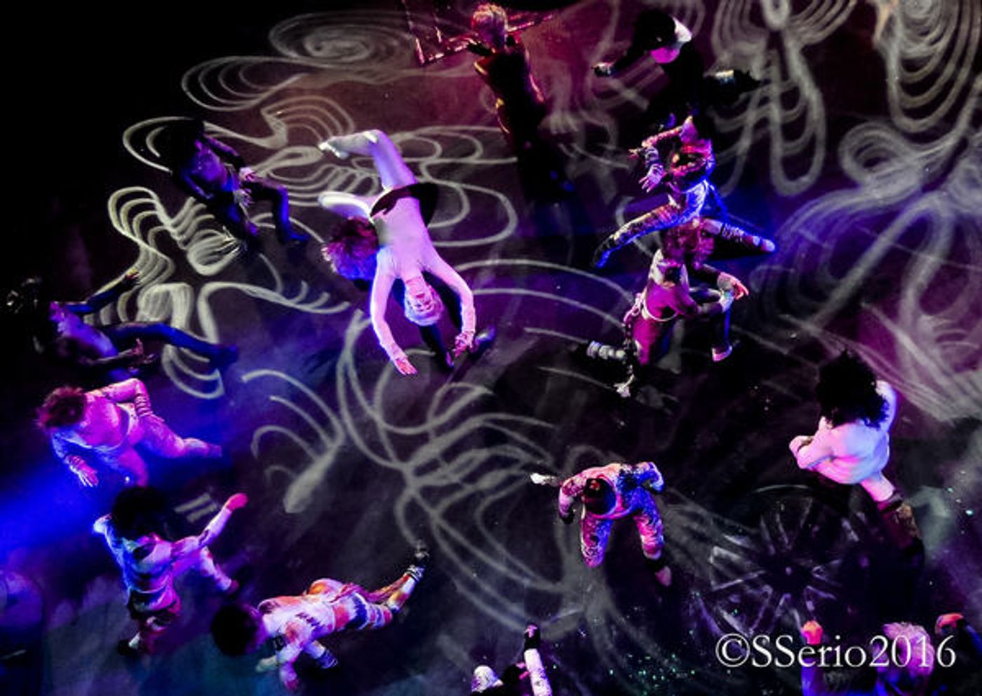 BWW Preview: CATS THE MUSICAL at Milburn Stone Theatre  Image