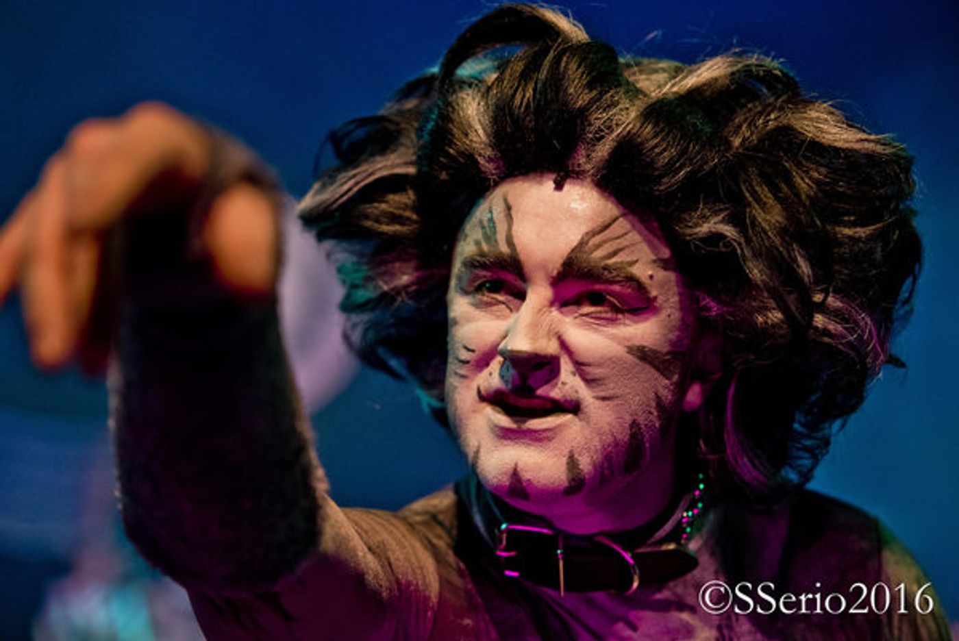 BWW Preview: CATS THE MUSICAL at Milburn Stone Theatre  Image