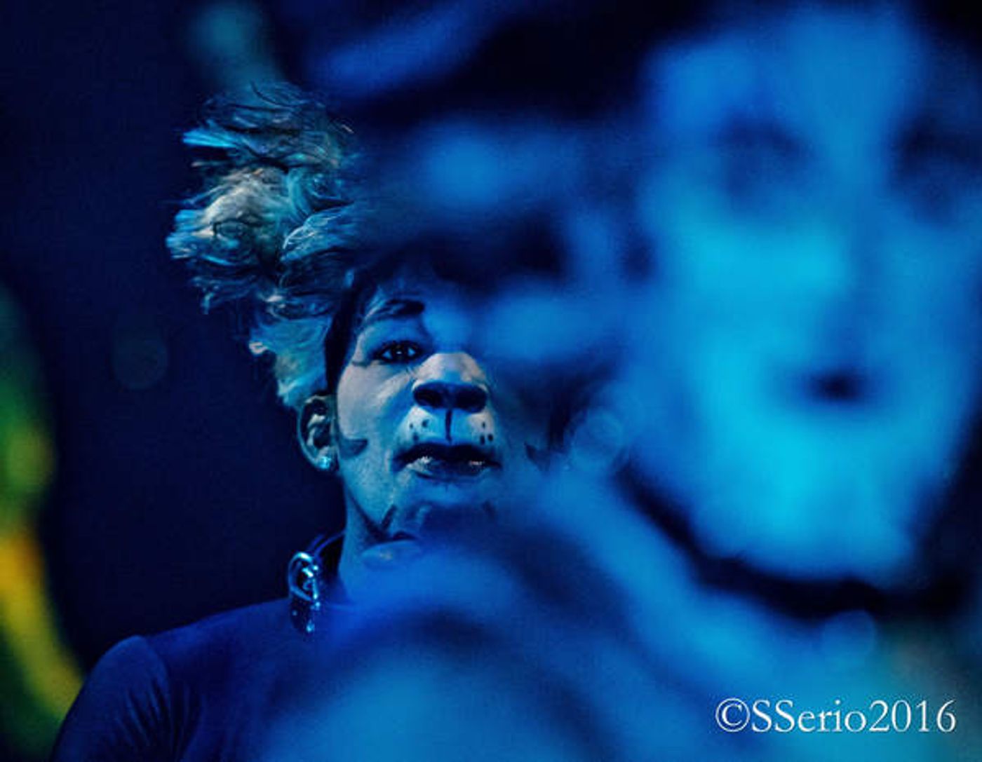 BWW Preview: CATS THE MUSICAL at Milburn Stone Theatre  Image