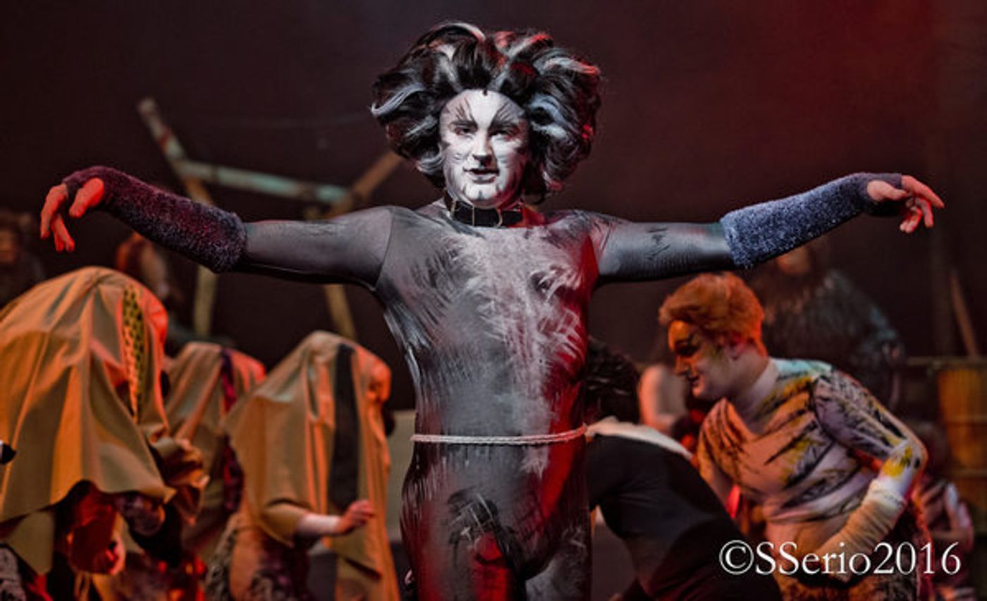 BWW Preview: CATS THE MUSICAL at Milburn Stone Theatre  Image