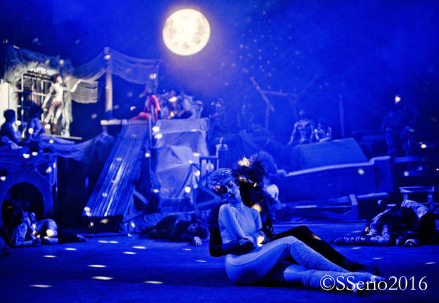 BWW Preview: CATS THE MUSICAL at Milburn Stone Theatre  Image