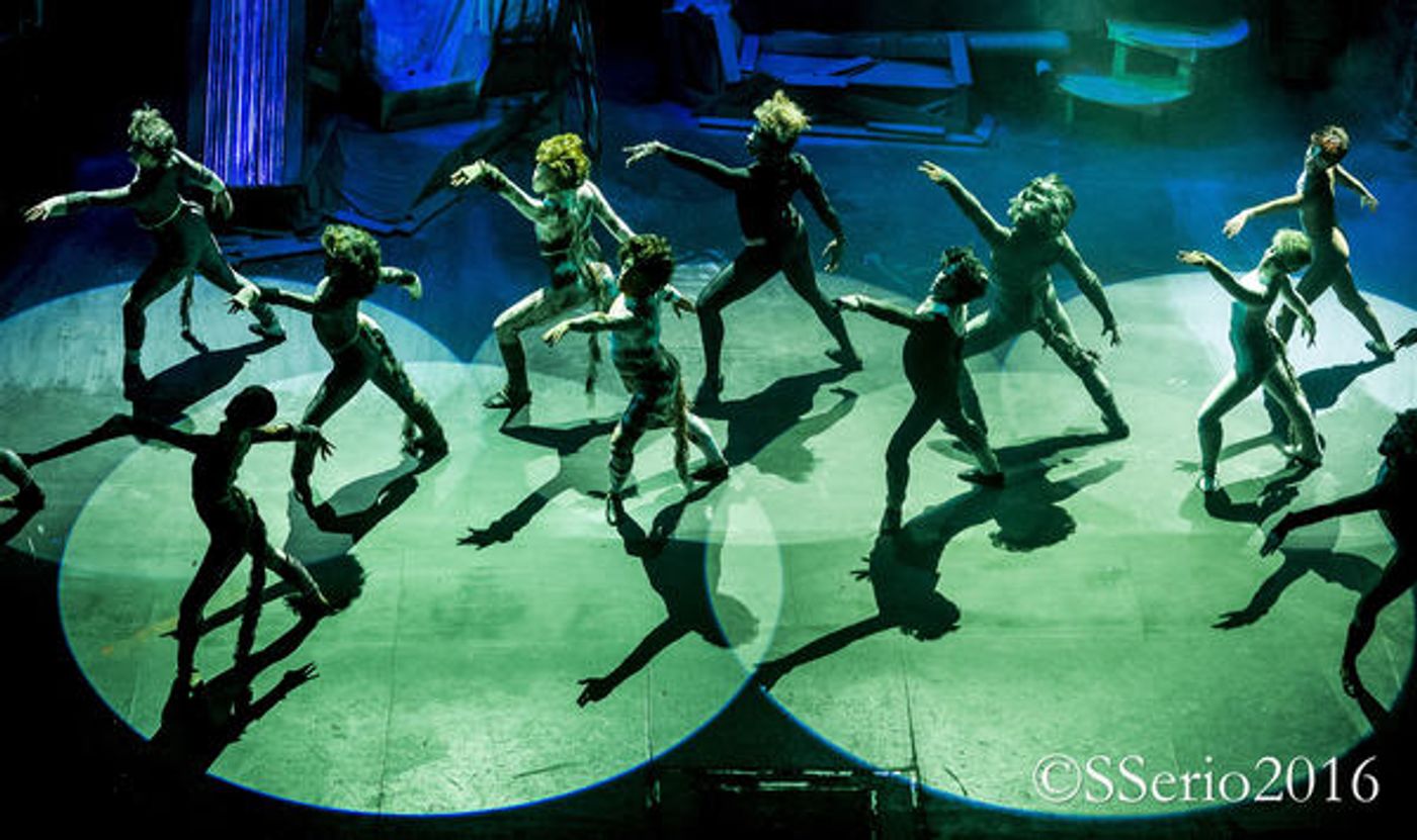 BWW Preview: CATS THE MUSICAL at Milburn Stone Theatre  Image