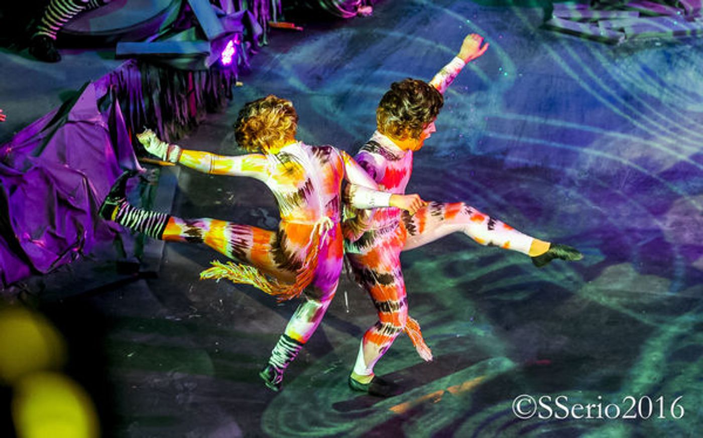 BWW Preview: CATS THE MUSICAL at Milburn Stone Theatre  Image