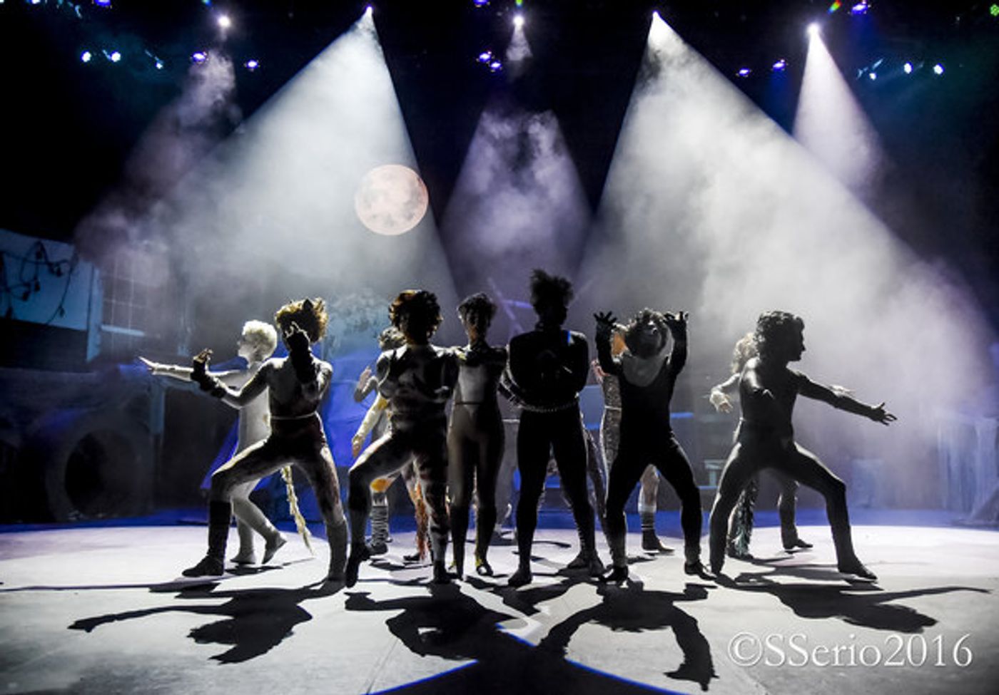 BWW Preview: CATS THE MUSICAL at Milburn Stone Theatre  Image