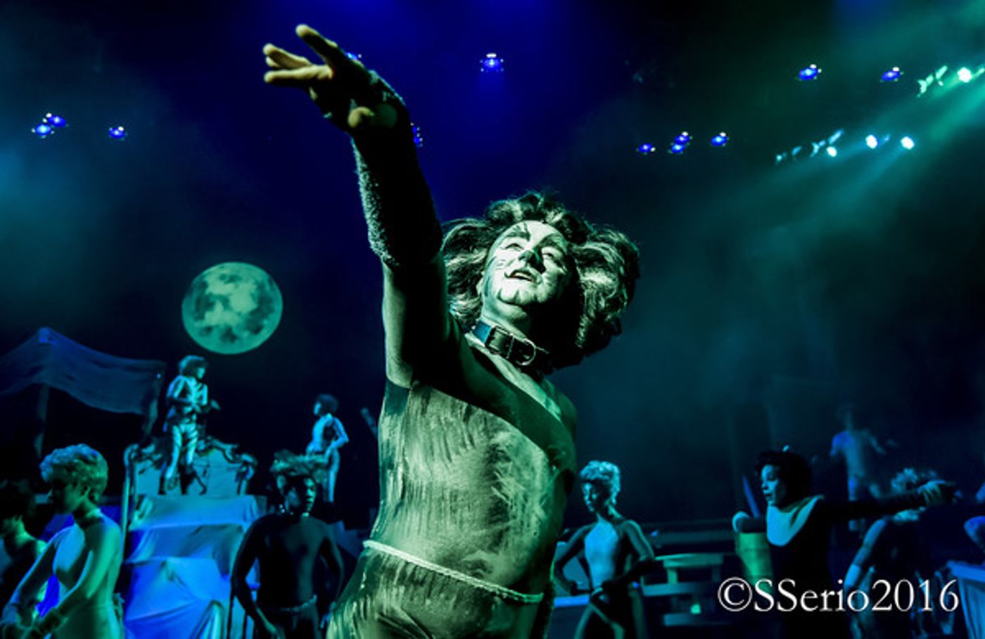 BWW Preview: CATS THE MUSICAL at Milburn Stone Theatre  Image