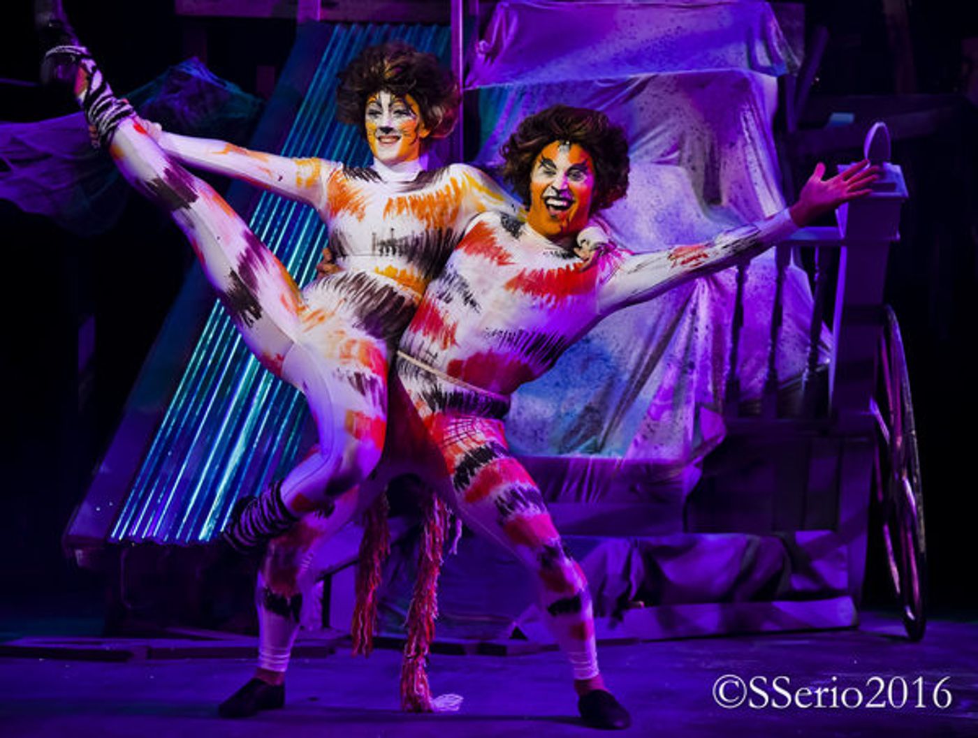 BWW Preview: CATS THE MUSICAL at Milburn Stone Theatre  Image