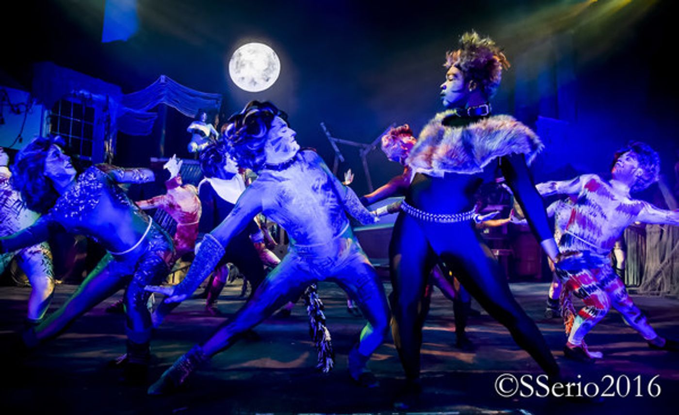 BWW Preview: CATS THE MUSICAL at Milburn Stone Theatre  Image