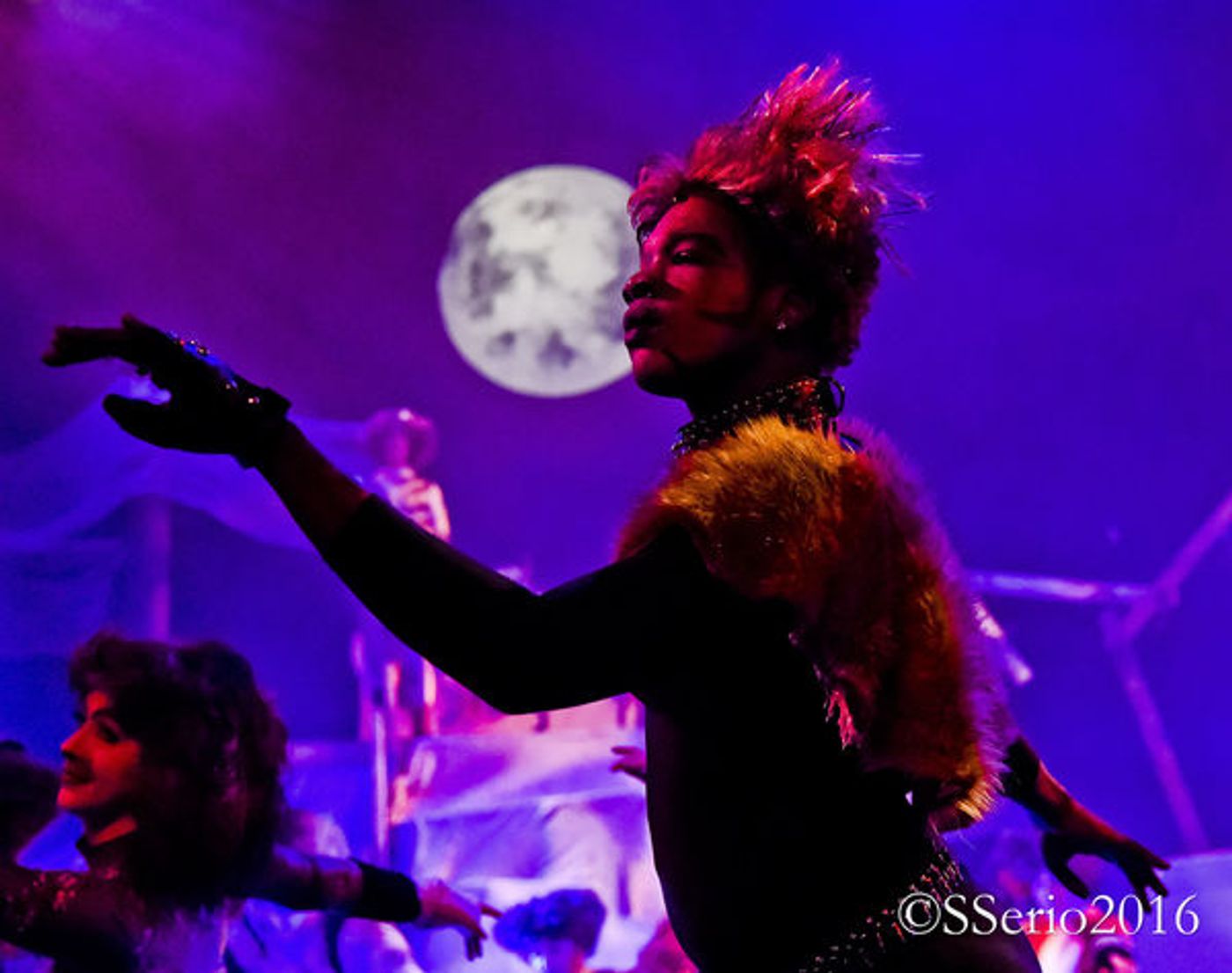 BWW Preview: CATS THE MUSICAL at Milburn Stone Theatre  Image