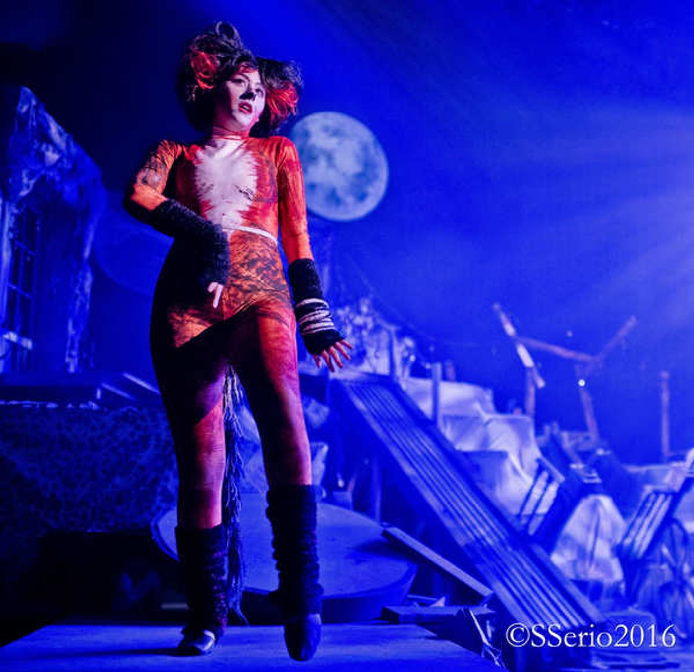 BWW Preview: CATS THE MUSICAL at Milburn Stone Theatre  Image